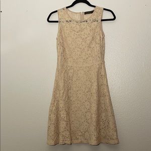 Beige Lace Babydoll Dress